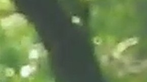 Imagen del sospechoso