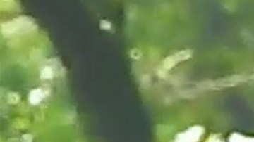 Imagen del sospechoso