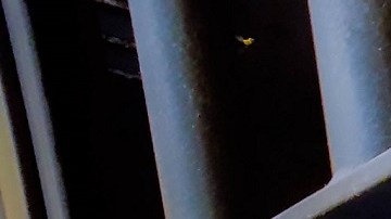 La empresa toma un hecho real para ofrecer 60 minutos de adrenalina.