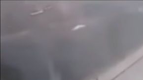 Joao Maleck impactó con su Mustang la parte trasera del vehículo donde viajaba la pareja de recién casados