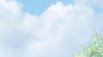 Boceto de la obra ‘Para Roberto’, de la artista Melissa Claderón.