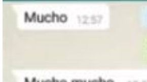 La conversación de WhatsApp se hizo viral por un youtuber.