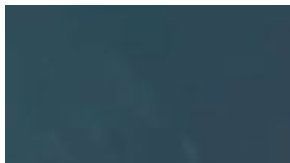 El tiburón con la cola cortada intenta seguir nadando.