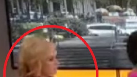 Melissa Francis es comentarista de Fox News (círculo rojo).