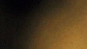 Serpiente cabeza de cobre.