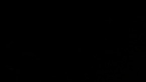 Metanfetamina cristalizada