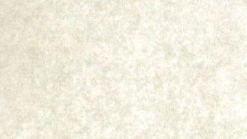 El reverendo Augustus Tolton.