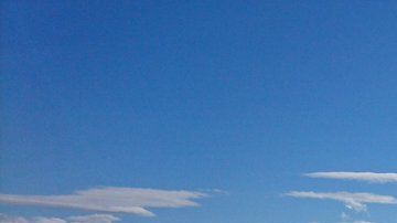 Los perros deben abrirse camino entre las aguas.