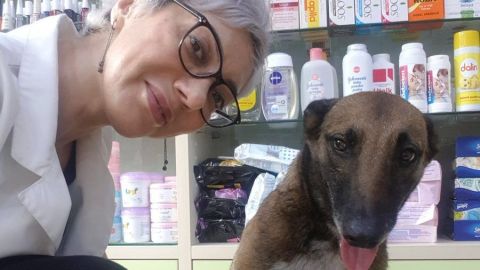 La dueña de la farmacia suele dar comida y agua a perros callejeros.