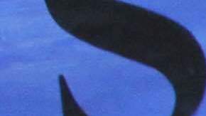 Organizaciones pro inmigrantes como MRNY celebraron la votación en el Cámara Baja.