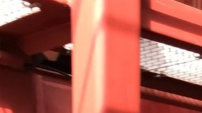 Los hechos ocurrieron en la terminal marítima de Packer Avenue en el río Delaware.