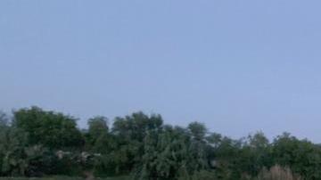 Uno de los dos grandes grupos de inmigrantes que se entregaron a CBP.