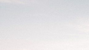 Javier 'Chicharito' Hernández, Sarah Kohan, Diego Dreyfus y 'Nico'.