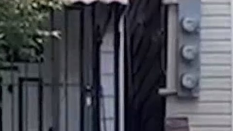 Los hechos ocurrieron el sábado en la tarde.