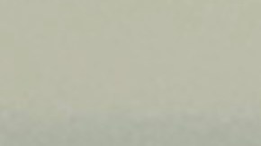 Yaritza Mendez en la conferencia de prensa sobre licencias de manejo a indocumentados