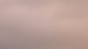 La muerte de un perro implica decir adiós a muchas cosas.