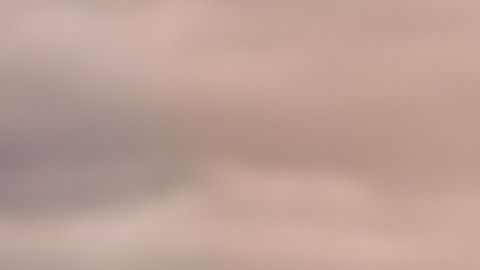 La muerte de un perro implica decir adiós a muchas cosas.