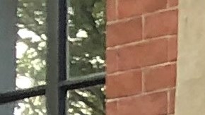 Cathy Marino-Thomas es una de las activistas de GAG.