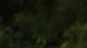 Inmigrantes  cruzan de Nicaragua a Costa Rica.