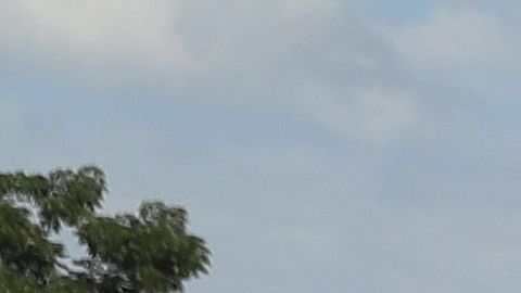 La ONG Pueblo Sin Frontera denunció también la detención de dos defensores de DDHH.