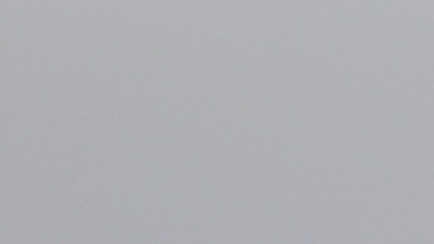 En Hidalgo, Texas, ha aumentado el cruce de indocumentados, indican autoridades locales.