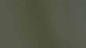 Mexico National Team Training Session & Press Conference