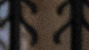 Los hijos de la princesa Diana junto a sus respectivas esposas.