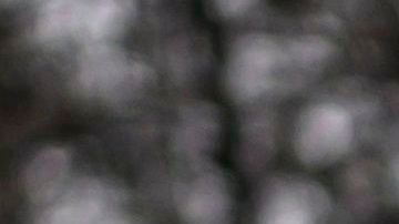 A Jewish man crosses a street in a Jewish quarter in Williamsburg Brooklyn on April 9, 2019 in New York City. - New York Mayor Bill de Blasio declared a public health emergency across part of Brooklyn, ordering all residents receive the measles vaccine in a bid to contain an outbreak of the disease. In New York, an Orthodox Jewish community in Brooklyn has been hardest hit. They were infected by visitors from Israel, where an outbreak of measles began a year ago. (Photo by Johannes EISELE / AFP)        (Photo credit should read JOHANNES EISELE/AFP/Getty Images)