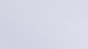 Dice que los musulmanes son "perros rabiosos" y los acusa de "robar y violar a las mujeres birmanas"