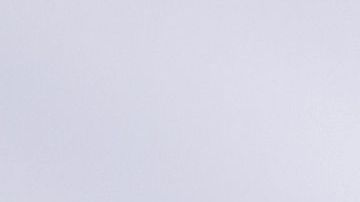 Dice que los musulmanes son "perros rabiosos" y los acusa de "robar y violar a las mujeres birmanas"