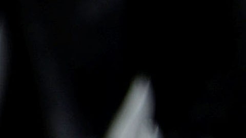 El presidente realiza una visita de Estado en Gran Bretaña.