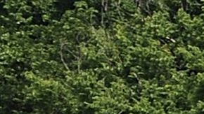 Inundaciones del río Mississippi el 7 de junio de 2019 en Grafton, Illinois.