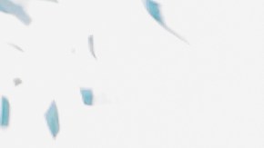 Brighton & Hove Albion v Manchester City - Premier League