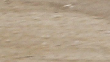 En esta foto de archivo, la Guardia Nacional mexicana detiene a inmigrantes centroamericanos.