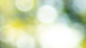 Temas migratorios, separación de familias y niños detenidos en centros fronterizos, siguen siendo el punto débil de Trump.