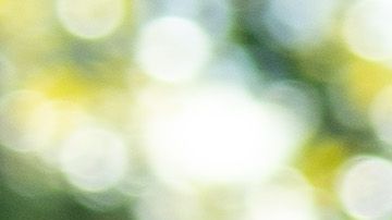 Temas migratorios, separación de familias y niños detenidos en centros fronterizos, siguen siendo el punto débil de Trump.