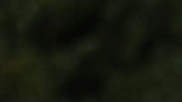 Rich Lindgren coloca 12 banderas en un memorial por los fallecidos.