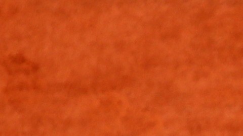 2019 French Open - Day Ten