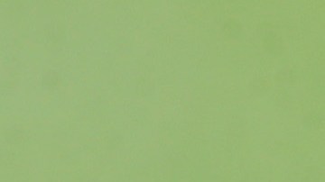 Trump vuelve a dejar claro lo que haría por mantenerse en el poder