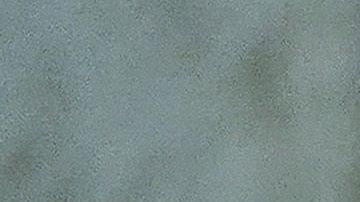 Trump lanzó esta semana su campaña de reelección