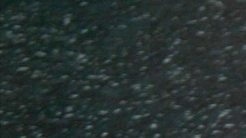 Estrella de Marilyn Monroe ubicada en la calle de las estrellas de Hollywood.