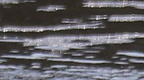 A pesar de las políticas migratorias de Trump, indocumentados se arriesgan a cruzar el río Bravo.