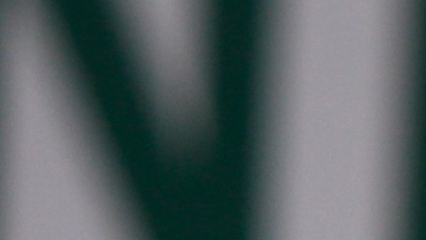 2017 French Open - Day Eight