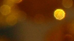 El matrimonio igualitario es legal en todo Estados Unidos desde 2015.