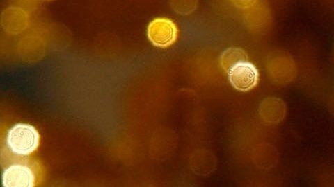 El matrimonio igualitario es legal en todo Estados Unidos desde 2015.