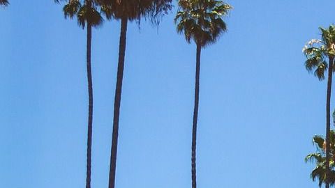 Se esperan temperaturas altas, entre los 75 grados en la zona costera y los 100 grados en los valles y desiertos.