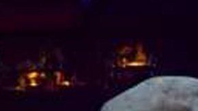 Animales proyectados como un holograma, para evitar que sean maltratados.