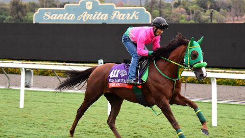 El número de caballos muertos es alarmante para un deporte en el cual el bienestar de los animales debería ser de primaria importancia.