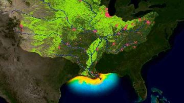 Los ríos transportan contaminantes que se descargan al océano.