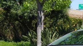 hyundai-ionic-electric-hatchback